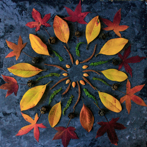 holistic leaf mandala