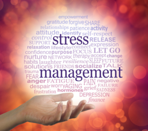 holistic stress management